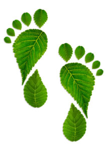 How Document Scanning Can Help Reduce Your Carbon Footprint